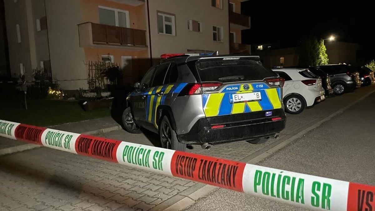 Muž na Slovensku čistil loveckou pušku, zbloudilá kulka zabila mladou maminku o ulici dál